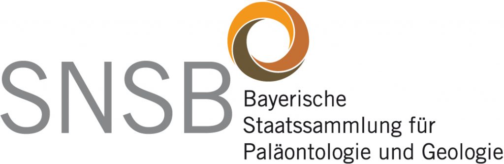 Logo Bayerischen Staatssammlung für Paläontologie und Geologie
