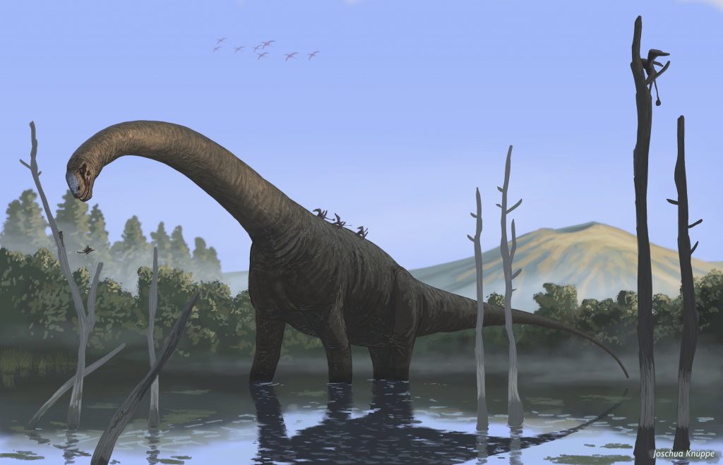 Patagosaurus Illustration