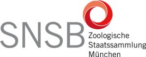 Logo Zoologische Staatssammlung München