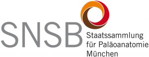 Logo Staatssammlung für Paläoanatomie München