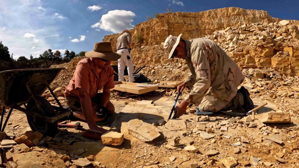 Vermessung von Fossilien