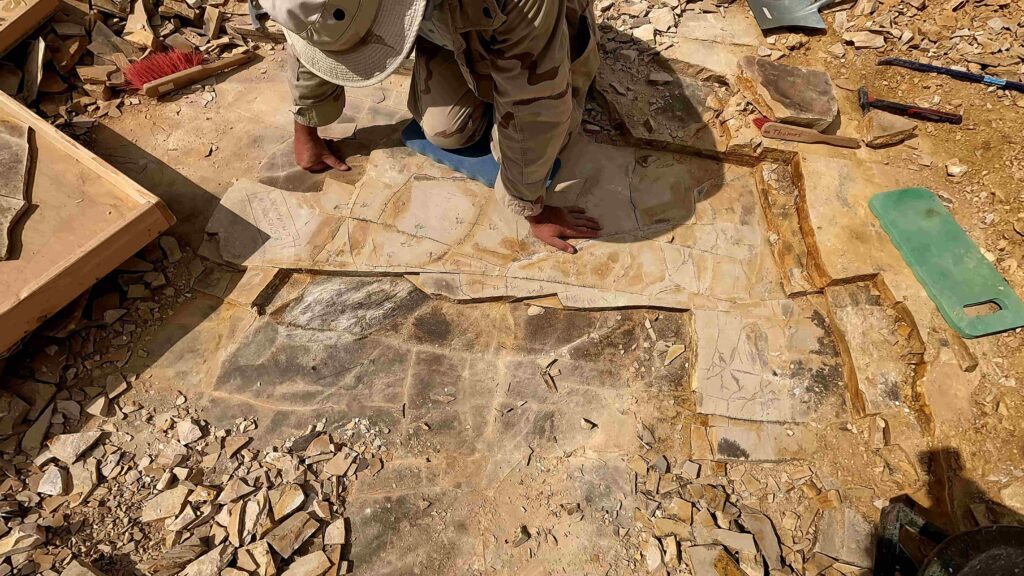 Bergung eines großen Tintenfisch-Fossils